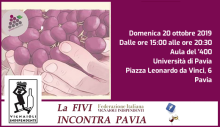 Degustazione FIVI OLtrepò Pavese (Pavia, 20/10/2019)