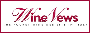 Wine News - Logo