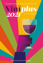 AIS Lombardia Viniplus 2021 - Copertina