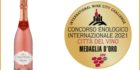 Concorso enologico Città del Vino - NorEma Extra Brut 2017 - Medaglia d'Oro