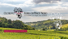 Oltrepò: the land of Pinot Noir (Casteggio, 09/27/2021)