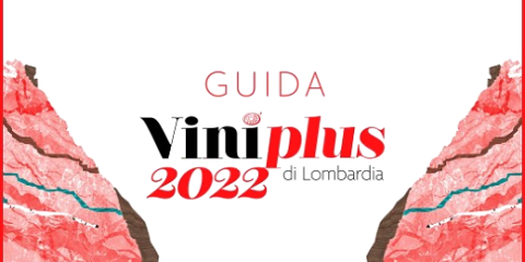 Presentazione della guida AIS Lombardia Viniplus 2022 (Milano, 26/11/2021)