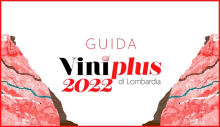 Presentation of Viniplus AIS Lombardy 2022 (Milan, 11/26/2021)