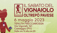 Il sabato del vignaiolo FIVI (Casteggio, 06/05/2023)