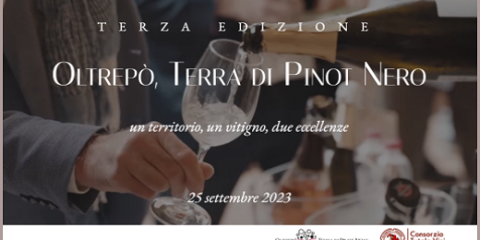 Oltrepò terra di Pinot Nero (Casteggio, PV - 25/09/2023)