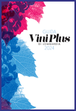 AIS Lombardia Viniplus 2024 - Copertina